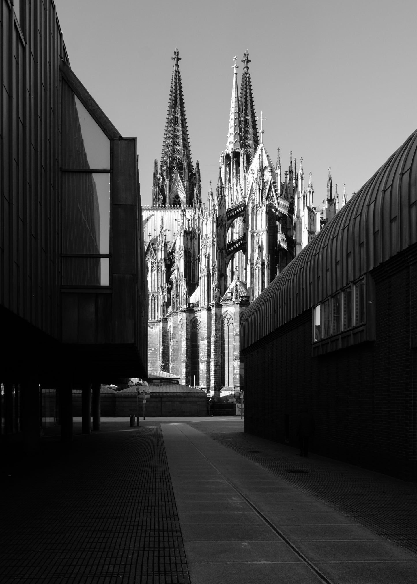 Mit Blick auf den Kölner Dom